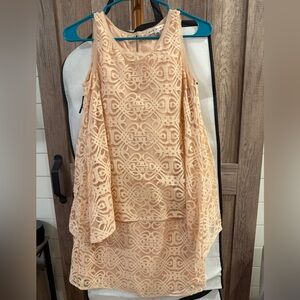 Max Studio Blush Lace Dress